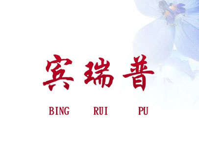 宾瑞普 BING RUI PU