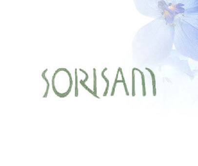 SORISAM