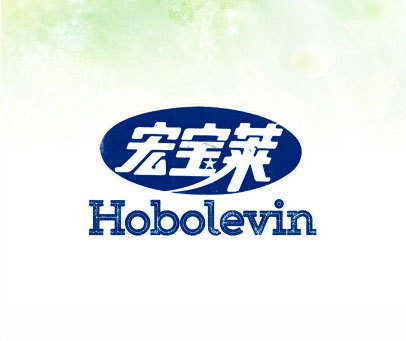 宏宝莱 hobolevin商标转让-好听商标网