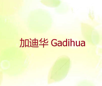 加迪华 GADIHUA