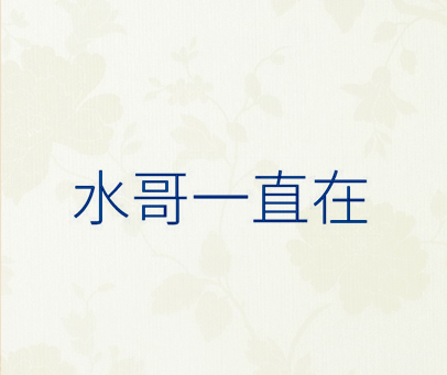 水哥一直在