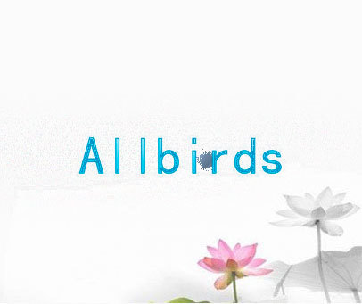 ALLBIRDS