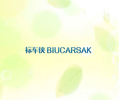 标车侠 BIUCARSAK