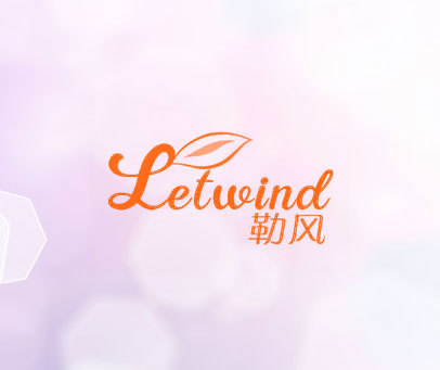 勒风 LETWIND