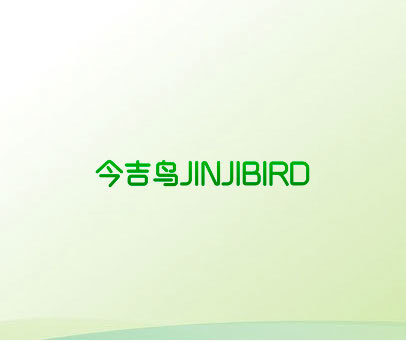 今吉鸟 JINJIBIRD