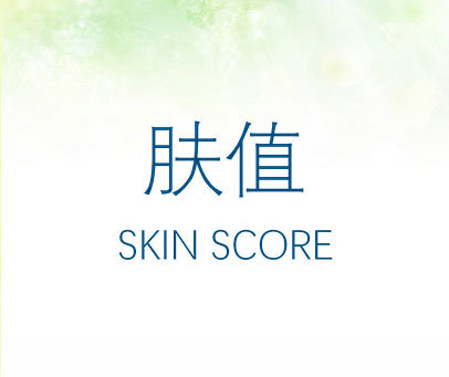 肤值 SKIN SCORE