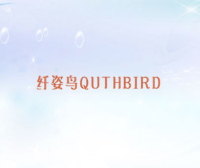 纤姿鸟   QUTHBIRD