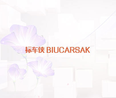 标车侠 BIUCARSAK