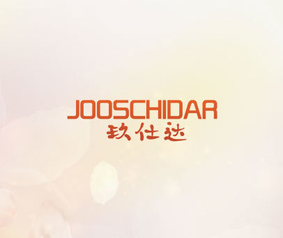 玖仕达 JOOSCHIDAR