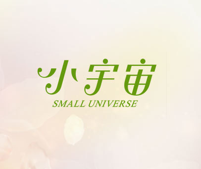 小宇宙 SMALL UNIVERSE