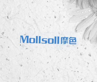 摩色 MOLLSOLL