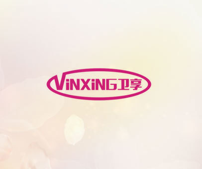 VINXING 卫享