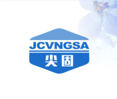 尖固 JCVNGSA