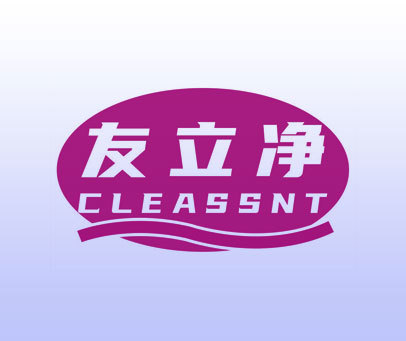 友立净 CLEASSNT