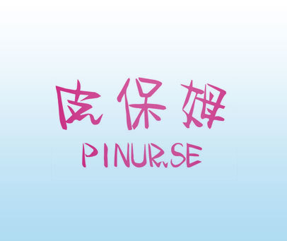 皮保姆 PINUR.SE