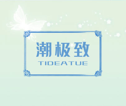 潮极致 TIDEATUE