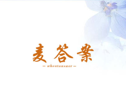 麦答案 WHEATANSWER