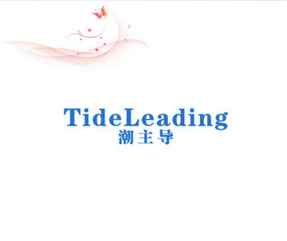 潮主导 TIDELEADING