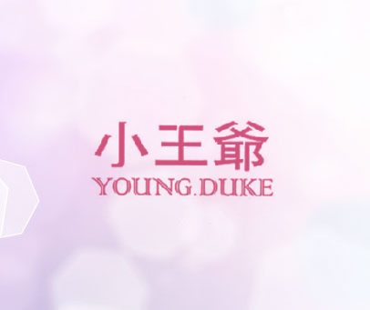 小王爷  YOUNG DUKE