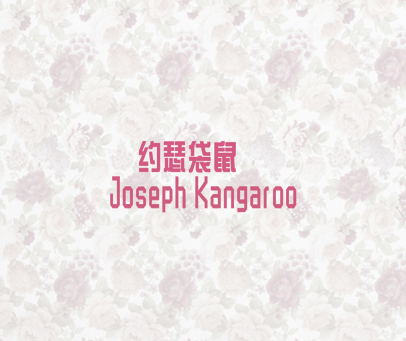 约瑟袋鼠 JOSEPH KANGAROO