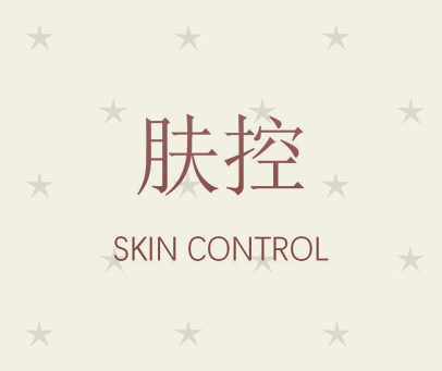 肤控 SKIN CONTROL