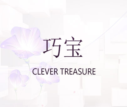 巧宝 CLEVER TREASURE