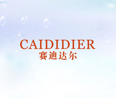 赛迪达尔 CAIDIDIER