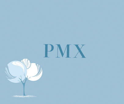 PMX