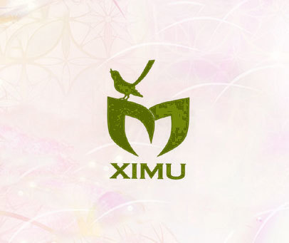 XIMU