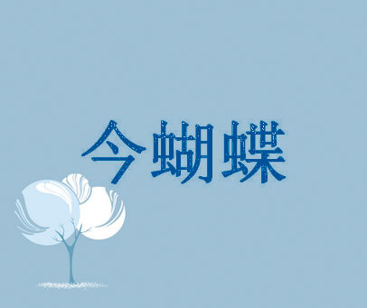 今蝴蝶