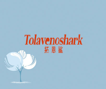 拓恩鲨 TOLAVENOSHARK