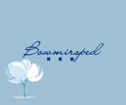 博曼驰 BOWMIRSPED