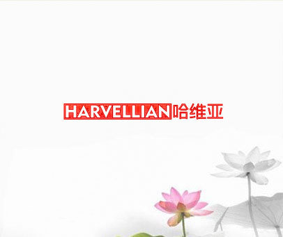 HARVELLIAN 哈维亚