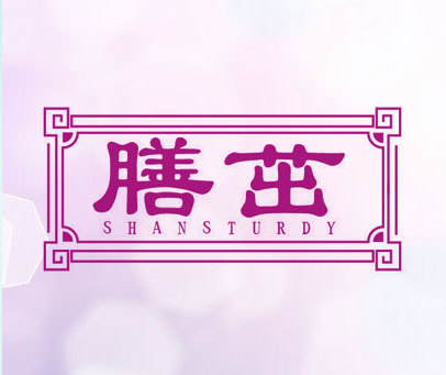 膳茁 SHANSTURDY
