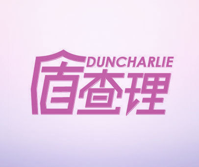 盾查理 DUNCHARLIE