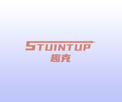 趣克 STUINTUP