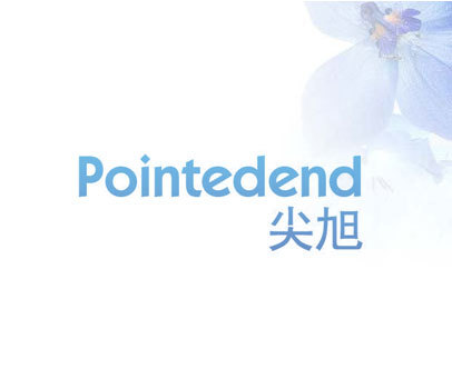 尖旭 POINTEDEND