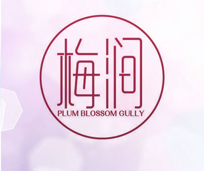 梅涧 PLUM BLOSSOM GULLY