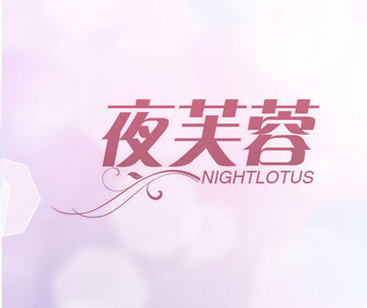 夜芙蓉 NIGHTLOTUS