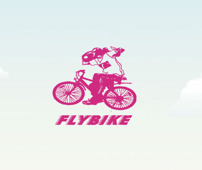 FLYBIKE