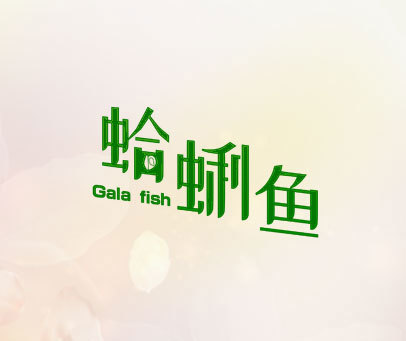蛤蜊鱼 GALA FISH