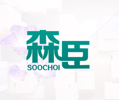 森臣 SOOCHOI