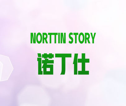 诺丁仕 NORTTIN STORY