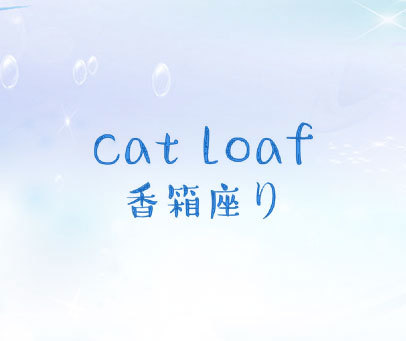 香箱座  CAT LOAF