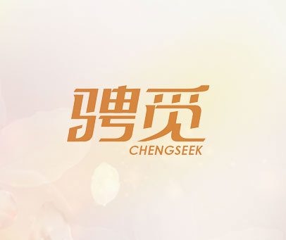 骋觅 CHENGSEEK