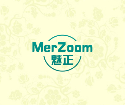 魅正 MERZOOM