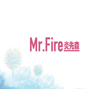 MR.FIRE 炎先森