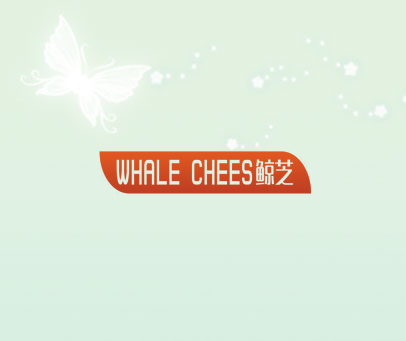 鲸芝 WHALE CHEES