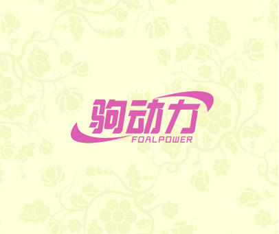 驹动力 FOALPOWER