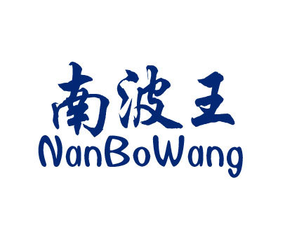 南波王;NAN BO WANG